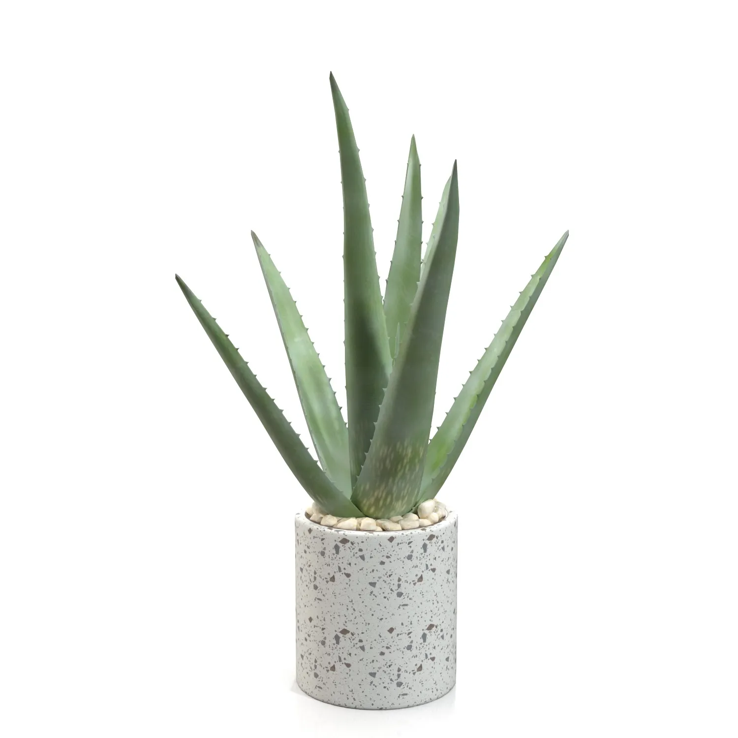 Healthy Aloe Vera Plant In Ceramic Vase PBR 3D Model_01